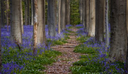 View Market Update for Hertfordshire Landlords