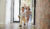 View Practical Tips to Sell Your Home Faster in Hitchin
